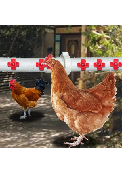 No.1 Tarzı Tavuk Içme Kapları Kırmızı Sülün Tavuk Su Kabı Otomatik Kümes Tavuk Der Su Içme Kapları 3 (Yurt Dışından) modelleri