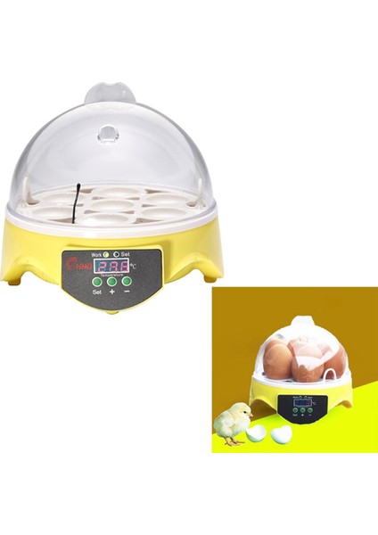 Abd Fiş Stili Kümes Hayvanı Kuluçka Makinesi 7 Mini Isıtıcı Küçük Tavuk Kuşu Yumurta Inkübatörü Için Tavuk Papağan Ördek Için 220V 110V Piliç Kuluçka Makinesi (Yurt Dışından)
