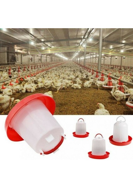 Beyaz Stil 4l Sağlam Plastik Bıldırcın Kümes Bıldırcın Yemlik Tutacaklı Çiftlik Hayvanı Içme Kabı Çiftlik Hayvan Malzemeleri (Yurt Dışından) fiyatları
