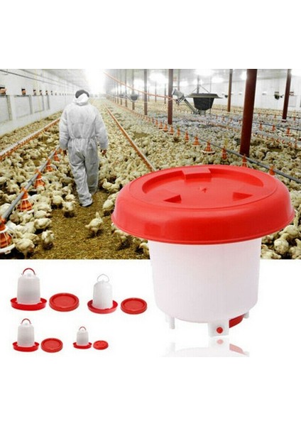 Beyaz Stil 4l Sağlam Plastik Bıldırcın Kümes Bıldırcın Yemlik Tutacaklı Çiftlik Hayvanı Içme Kabı Çiftlik Hayvan Malzemeleri (Yurt Dışından) modelleri