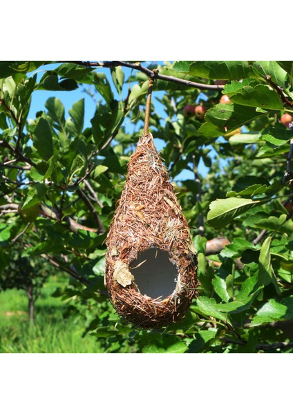 2 Adet Kuş Kafesi Bahçe Süsü Yapay Kuş Yuvası Hasır Kuş Yuvası Dokuma Kuş Evi Tüm Kuşlar Için (Yurt Dışından)