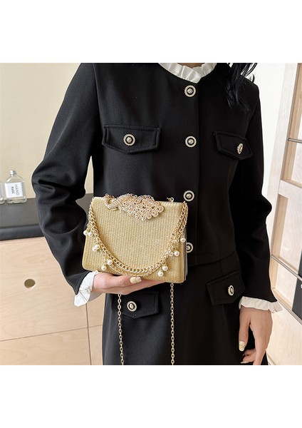 Kadın Ziyafet Çantası, Kadın Çantası, Omuz Çantası (Yurt Dışından) fiyatları