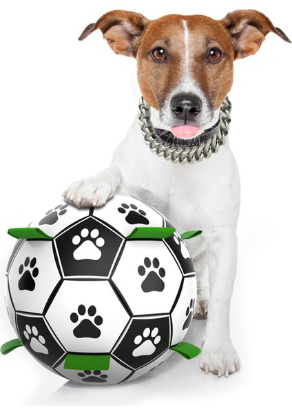 P Stili Küçük Köpekler Için Cırtlak Lastik Oyuncak Top Oyuncak Köpek Malzemesi Eğitim Ürünleri (Yurt Dışından)