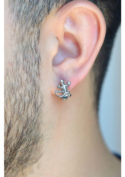 Kertenkele Figürlü Gümüş Renkli Erkek Çelik Halka Küpe fiyatları