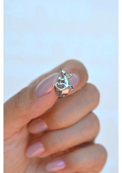 Kertenkele Figürlü Gümüş Renkli Erkek Çelik Halka Küpe modelleri