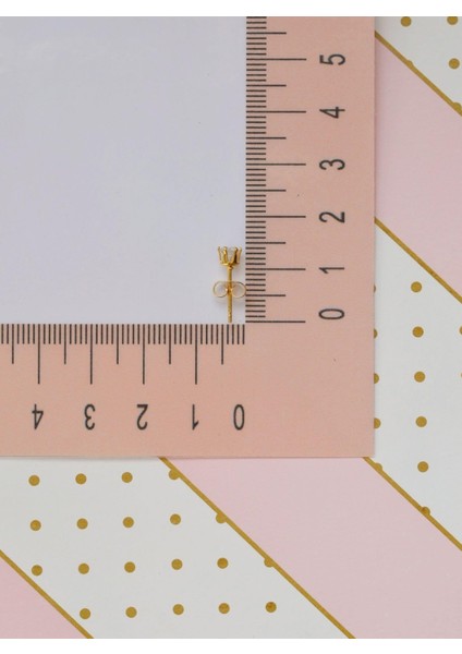 3 mm Erkek Gold Çelik Tektaş Küpe