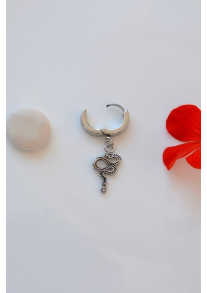 Kıvrılmış Yılan Figürlü Gümüş Renkli Erkek Çelik Halka Küpe Yılanlı fırsatları