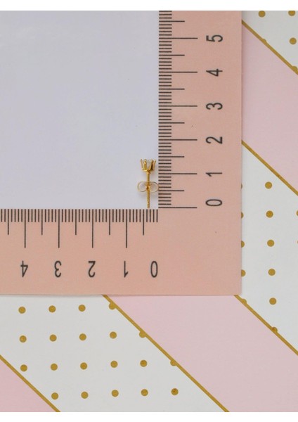 4 mm Erkek Gold Tektaş Çelik Küpe fırsatları