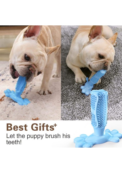 Yeşil Stil L Beden Yüksek Kaliteli Kauçuk Köpek Diş Fırçası Oyuncak Pet Malzemeleri Fransız Bulldog Azı Oyuncak Pug Yavru Kemirgen Oyuncak Köpek Aksesuarları Kong Köpek Oyuncakları (Yurt Dışından) fiyatları