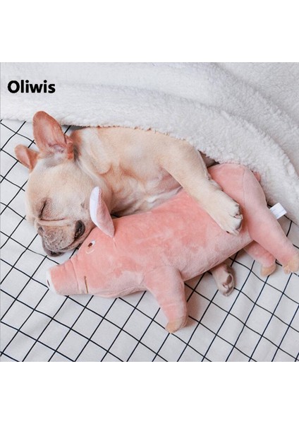 L 45CM Tarzı M Beden Köpek Isırma Oyuncak Domuz Şekilli Evcil Oyuncak Yatağa Uyumlu Sıcak Yumuşak Peluş Pamuklu Yatma Arkadaşı Köpek Yavrusu Bulldog Teddy Için (Yurt Dışından) fiyatları