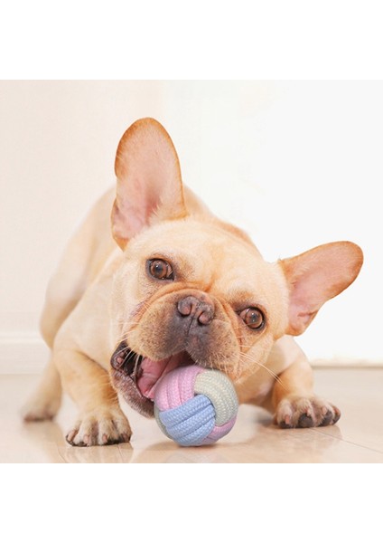 Siyah Stil Köpek Oyuncakları Köpek Kemik Oyuncak Molar Terlik Şekil Diş Temizleme Çubuğu Pet Aksesuarları Için Köpek Aksesuarları Büyük Küçük Köpekler Için (Yurt Dışından) fiyatları