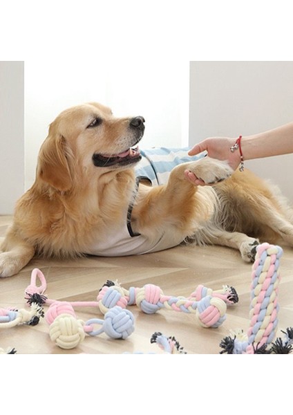 Siyah Stil Köpek Oyuncakları Köpek Kemik Oyuncak Molar Terlik Şekil Diş Temizleme Çubuğu Pet Aksesuarları Için Köpek Aksesuarları Büyük Küçük Köpekler Için (Yurt Dışından) modelleri