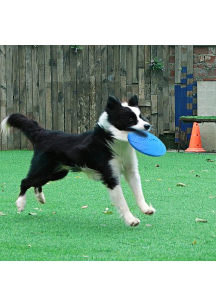 Turuncu Tarzı Çap 15CM Zlar Köpek Oyuncakları Köpek Eğitim Pp Uçan Disk Oyuncaklar Pet Malzemeleri Köpek Aksesuarları Evcil Hayvan Ürünleri Köpek Yavrusu Diskler (Yurt Dışından) indirimleri