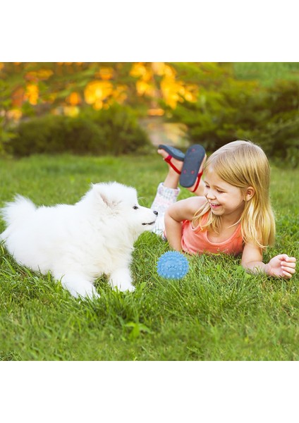 Mavi Stil Köpek Oyuncak Topları Isırılmaya Dayanıklı Kauçuk Evcil Hayvan Sesli Oyuncak Köpek Oyun Topu Evcil Hayvan Malzemeleri Köpek Favorileri Sesli Köpek Isıran Oyuncak (Yurt Dışından)