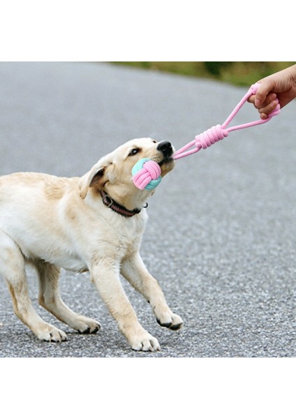 D Stili Ev Evcil Hayvan Köpek Oyuncak Setleri Köpek Çiğneme Halat Oyuncakları Büyük Büyük Köpekler Için Diş Temizleme Oyuncakları Köpekler Çiğneme Oyuncak Aksesuarları (Yurt Dışından) fırsatları