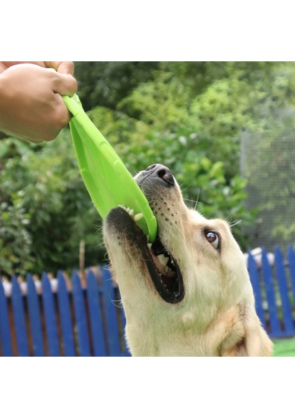 Kırmızı Stil Silikon Uçan Daire Komik Köpek Oyuncağı Dayanıklı Isırma Yüzen Oyun Köpek Uçan Diskler Etkileşimli Oyun Oynama Eğitim Pet Malzemeleri (Yurt Dışından) indirimleri