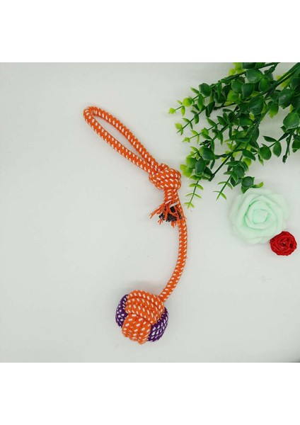 Rastgele Renk Stili M Beden Transer Pet Supply Köpek Oyuncakları Köpekler Diş Temizleme Açık Havada Eğlenceli Oyun Oynamak Yeşil Halat Top Oyuncak Büyük Küçük Köpek Kedi Için (Yurt Dışından) fırsatları