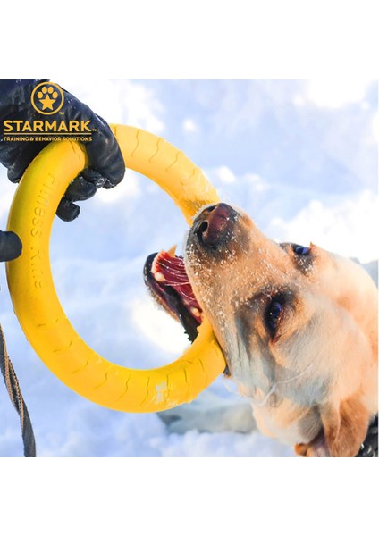 7cm El Topu Stili Starmark Büyük Köpekler Için Eva Interaktif Eğitim Halkası Çekişe Dayanıklı Köpekler Için Uçan Disk Oyuncağı Küçük Köpek Isırma Oyuncak (Yurt Dışından) modelleri