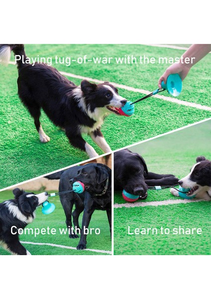 Yeşil Oval Tarzı Emme Kupası Çekiş Oyuncak Köpek Oyuncak Diş Fırçası Için Köpek Dişi Temizleme Yapışkan Kupayla Esnek Halatlar Yavru Büyük Köpek Isırma Oyuncak (Yurt Dışından) fiyatları