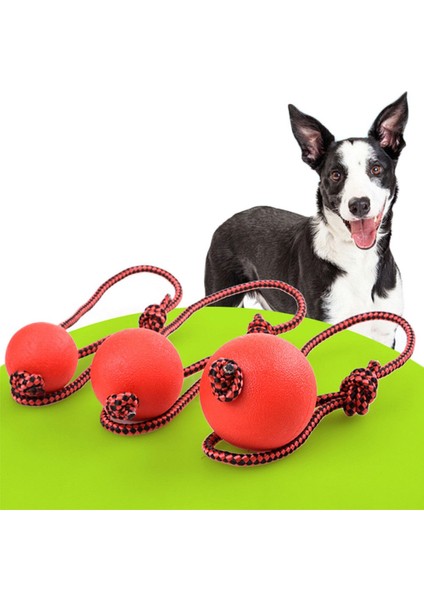 Top Ipi 5cm Tarzı Evcil Köpek Eğitim Oyuncak Top cm Dayanıklı Kauçuk Top Halat Çiğneme Oyun Getir Isırma Oyuncak Evcil Hayvan Oyuncak Evcil Hayvan Malzemeleri Aksesuarları (Yurt Dışından) fiyatları