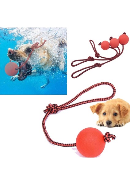 Top Ipi 5cm Tarzı Evcil Köpek Eğitim Oyuncak Top cm Dayanıklı Kauçuk Top Halat Çiğneme Oyun Getir Isırma Oyuncak Evcil Hayvan Oyuncak Evcil Hayvan Malzemeleri Aksesuarları (Yurt Dışından) modelleri