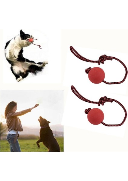 Top Ipi 5cm Tarzı Evcil Köpek Eğitim Oyuncak Top cm Dayanıklı Kauçuk Top Halat Çiğneme Oyun Getir Isırma Oyuncak Evcil Hayvan Oyuncak Evcil Hayvan Malzemeleri Aksesuarları (Yurt Dışından) fırsatları