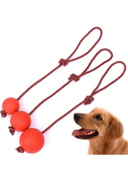 Top Ipi 5cm Tarzı Evcil Köpek Eğitim Oyuncak Top cm Dayanıklı Kauçuk Top Halat Çiğneme Oyun Getir Isırma Oyuncak Evcil Hayvan Oyuncak Evcil Hayvan Malzemeleri Aksesuarları (Yurt Dışından) indirimleri