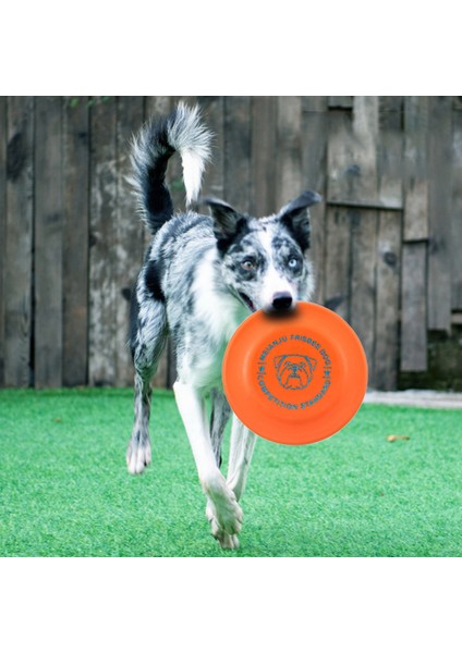 Mavi 18CM Tarzı 2021 Yeni Köpek Tasması Silikon Yumuşak Frizbi Köpek Eğitimi Için Isırıklara Dayanıklı Frizbi Büyük Köpekler Için (Yurt Dışından) fiyatları