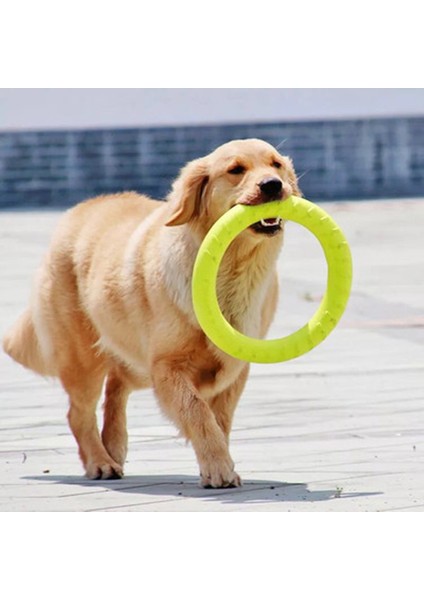 Yeşil1 Tarzı Ev Eğitim Halkası Dayanıklı Isırma Yüzen Oyuncak Köpek Dış Mekan Etkileşimli Oyun Ürünleri Tedarik (Yurt Dışından) fiyatları