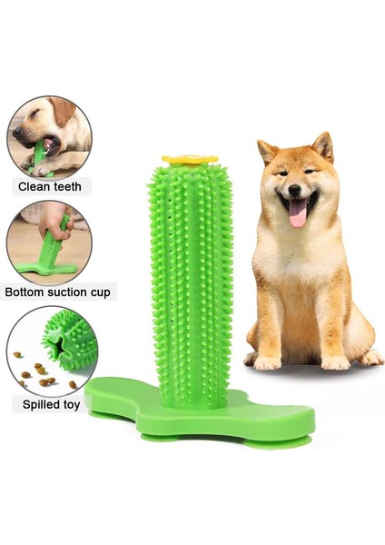 Yeşil-S Tarzı Köpek Oyuncak Evcil Hayvan Diş Fırçalama Oyuncağı Diş Fırçası Etkileşimli Kauçuk Evcil Hayvan Oyuncakları Köpekler Diş Fırçası Küçük Yavru Büyük Köpekler Için (Yurt Dışından) fiyatları