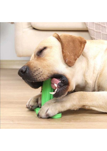Yeşil-S Tarzı Köpek Oyuncak Evcil Hayvan Diş Fırçalama Oyuncağı Diş Fırçası Etkileşimli Kauçuk Evcil Hayvan Oyuncakları Köpekler Diş Fırçası Küçük Yavru Büyük Köpekler Için (Yurt Dışından) fırsatları