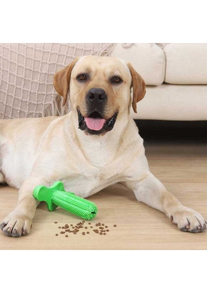 Yeşil-S Tarzı Köpek Oyuncak Evcil Hayvan Diş Fırçalama Oyuncağı Diş Fırçası Etkileşimli Kauçuk Evcil Hayvan Oyuncakları Köpekler Diş Fırçası Küçük Yavru Büyük Köpekler Için (Yurt Dışından) indirimleri