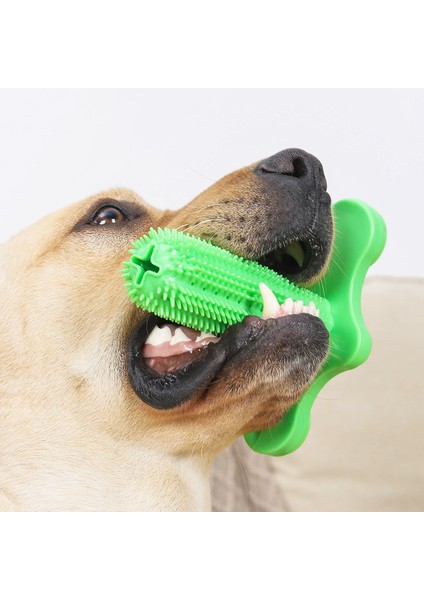 No.1 Tarzı Köpek Oyuncak Etkileşimli Kauçuk Pet Oyuncakları Köpek Diş Fırçası Pet Azı Temizleme Fırçası Küçük Yavru Büyük Köpekler Için (Yurt Dışından) fiyatları