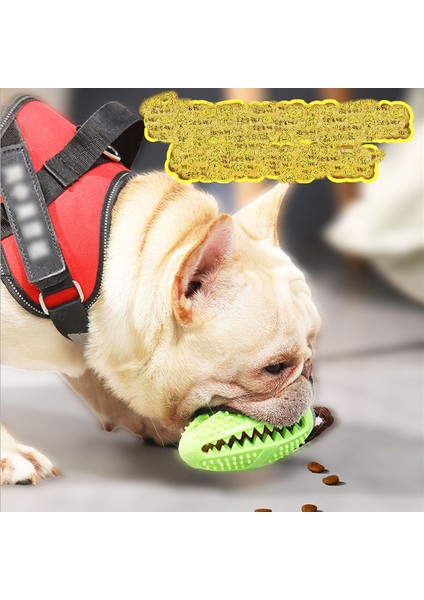 B Tarzı S Beden Evcil Köpek Oyuncakları Köpek Etkileşimli Doğal Kauçuk Top Yavru Kemirgen Oyuncak Yem Dağıtıcı Top Isırılmaya Dayanıklı Temiz Dişler Evcil Hayvan Oyun Topları (Yurt Dışından)