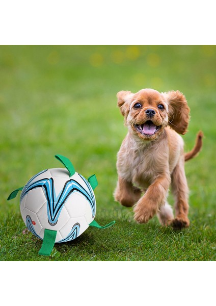 1PC18CM Tarzı Köpek Oyuncak Futbol Oyuncakları Yavru Büyük Köpekler Için Dış Mekan Eğitim Interaktif Pet Isırma Çiğneme Topu Oyuncakları Futbol ile Halat (Yurt Dışından)