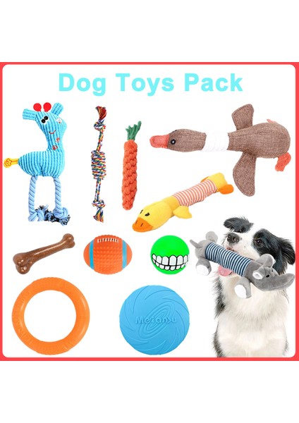 Kombinasyon 10 Tarzı Köpek Oyuncakları Evcil Kemik Top Uçan Cırcır Çiğneme Yumuşak Oyuncak Seti Küçük Büyük Köpekler Için Etkileşimli Eğitim Seti Yavru Oyuncakları Için (Yurt Dışından)