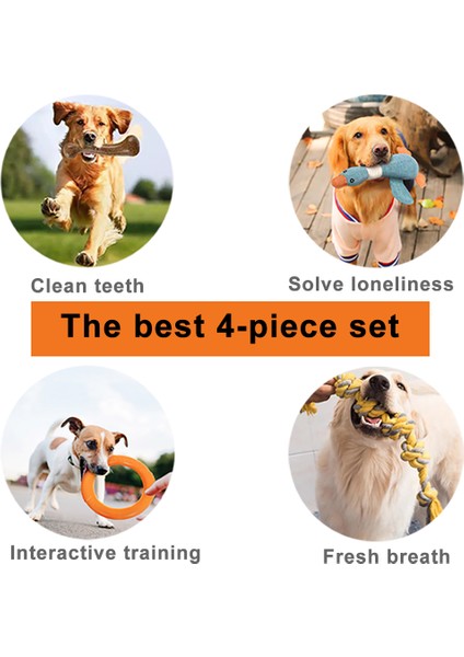 Kombinasyon 10 Tarzı Köpek Oyuncakları Evcil Kemik Top Uçan Cırcır Çiğneme Yumuşak Oyuncak Seti Küçük Büyük Köpekler Için Etkileşimli Eğitim Seti Yavru Oyuncakları Için (Yurt Dışından)