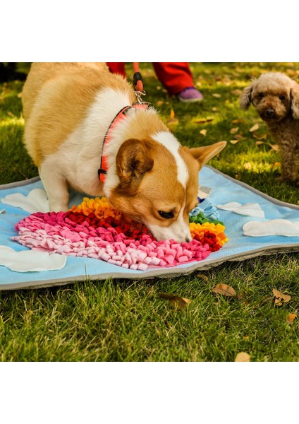 Kumral Tarzı Evcil Köpek Koku Matı Eğitim Battaniyesi Ayırılabilir Polar Pedler Köpek Matı Stresi Giderici Burun Çalışması Bulmaca Oyuncak Evcil Hayvan Burun Pedı (Yurt Dışından) indirimleri