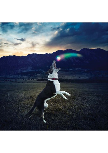 Mavi Stil S Beden LED Luminous Pet Dog Bite Ball Renkli Dönüşüm Etkisi Köpek Topları Etkileşimli Köpek Parlayan Oyuncak Köpek Isırma Topu Gece - (Yurt Dışından) fiyatları