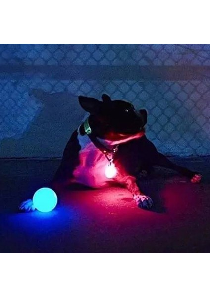 Mavi Stil S Beden LED Luminous Pet Dog Bite Ball Renkli Dönüşüm Etkisi Köpek Topları Etkileşimli Köpek Parlayan Oyuncak Köpek Isırma Topu Gece - (Yurt Dışından) fırsatları