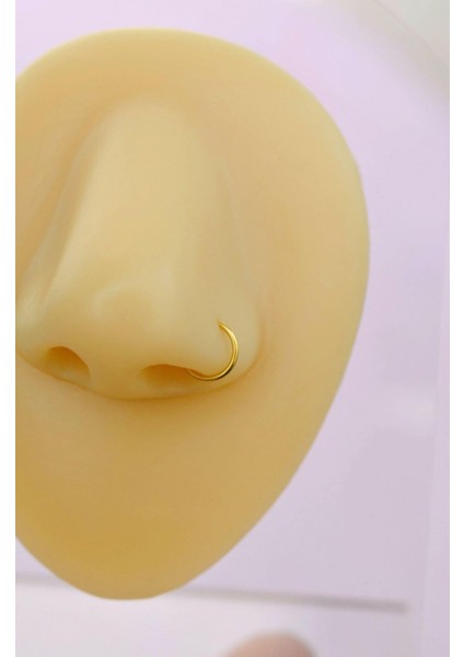 6 mm 316 L Çelik Düz Halka Model Hızma Gold Renk modelleri