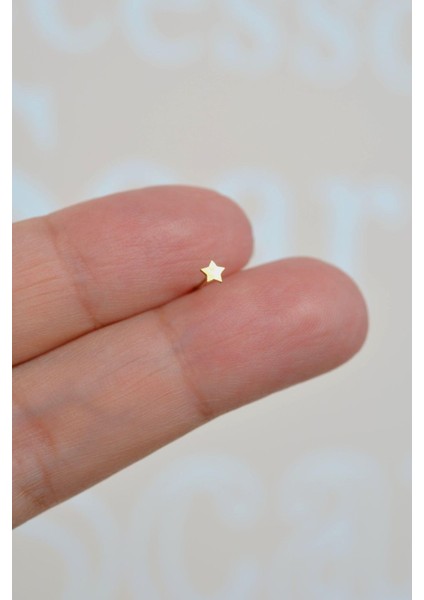 Mini Yıldızlı 316 L Çelik Hızma Gold Renk