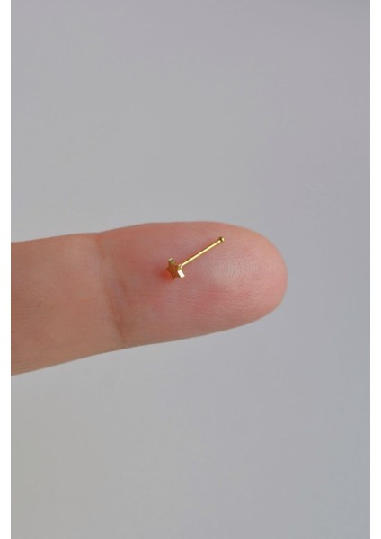 Mini Yıldızlı 316 L Çelik Hızma Gold Renk fiyatları