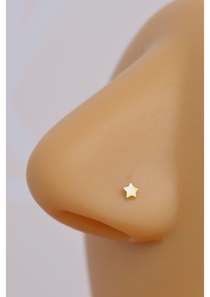 Mini Yıldızlı 316 L Çelik Hızma Gold Renk modelleri