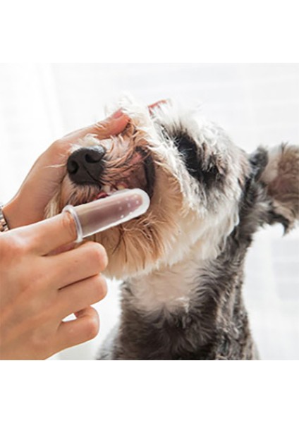 Şeffaf 3 Adet Tarzı Süper Yumuşak Evcil Hayvan Parmak Diş Fırçası Kedi ve Köpekler Fırça Kötü Nefes Tartar Diş Bakım Aracı Köpekler Kediler Temizlik Silikon Evcil Hayvan Malzemeleri (Yurt Dışından)