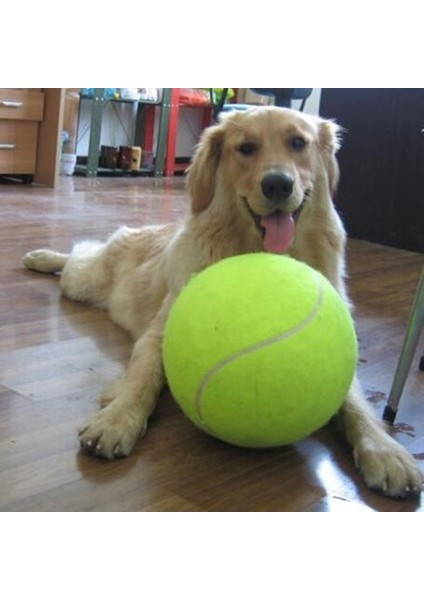 Mavi Stil 9.5 Inç Köpek Tenis Topu Dev Pet Oyuncak Tenis Topu Köpek Oyuncak Çiğneme Oyuncak Imzalı Mega Jumbo Çocuk Oyuncak Topu Evcil Hayvan Malzemeleri Için (Yurt Dışından)