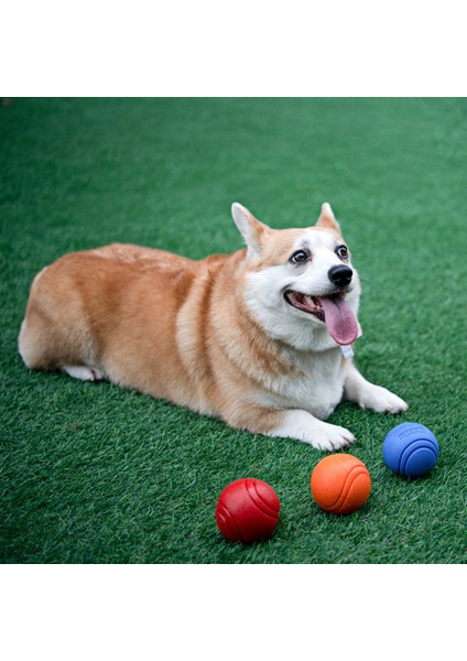 Yeşil Top Ip Stili 5 cm Köpek Yumuşak Kauçuk Top Yüksek Elastik Esneklik Çiğneme Oyuncağı Atma Eğitim Topu ile Halat Diş Temizliği Isırma Direnci (Yurt Dışından) indirimleri