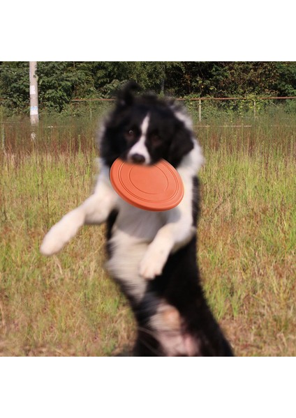 B Tarzı Yumuşak Kaymayan Köpek Uçuş Oyun Frizbisi Çiğnemeye Dayanıklı Köpek Oyuncakı Eğitim Interaktif Pet Malzemeleri Oyuncakları Için Pet Eğitimi (Yurt Dışından) modelleri