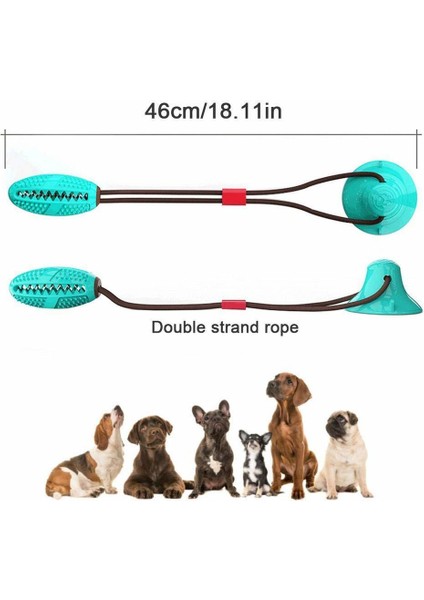 Kırmızı ve Beyaz Tarzı Emme Kupası Çekiş Oyuncak Köpek Oyuncak Diş Fırçası Için Köpek Dişi Temizleme Yapışkan Kupayla Esnek Halatlar Yavru Büyük Köpek Isırma Oyuncak (Yurt Dışından) modelleri