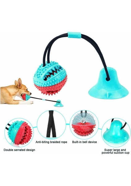 Kırmızı ve Beyaz Tarzı Emme Kupası Çekiş Oyuncak Köpek Oyuncak Diş Fırçası Için Köpek Dişi Temizleme Yapışkan Kupayla Esnek Halatlar Yavru Büyük Köpek Isırma Oyuncak (Yurt Dışından) indirimleri